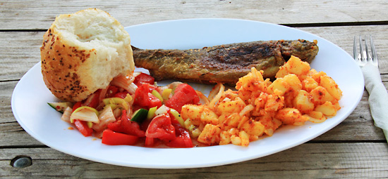 不封号的一秒发1000条手机号的软件